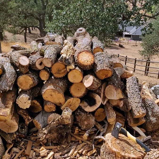 mranch-woodpile1 mranch-woodpile1